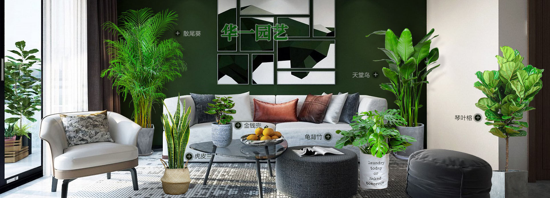 首页幻灯2